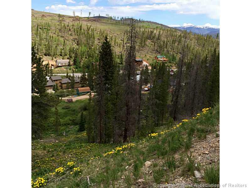 304 Blue Ridge Road Breckenridge, CO 80424 - Photo 10 of 22 Gallery Image 10