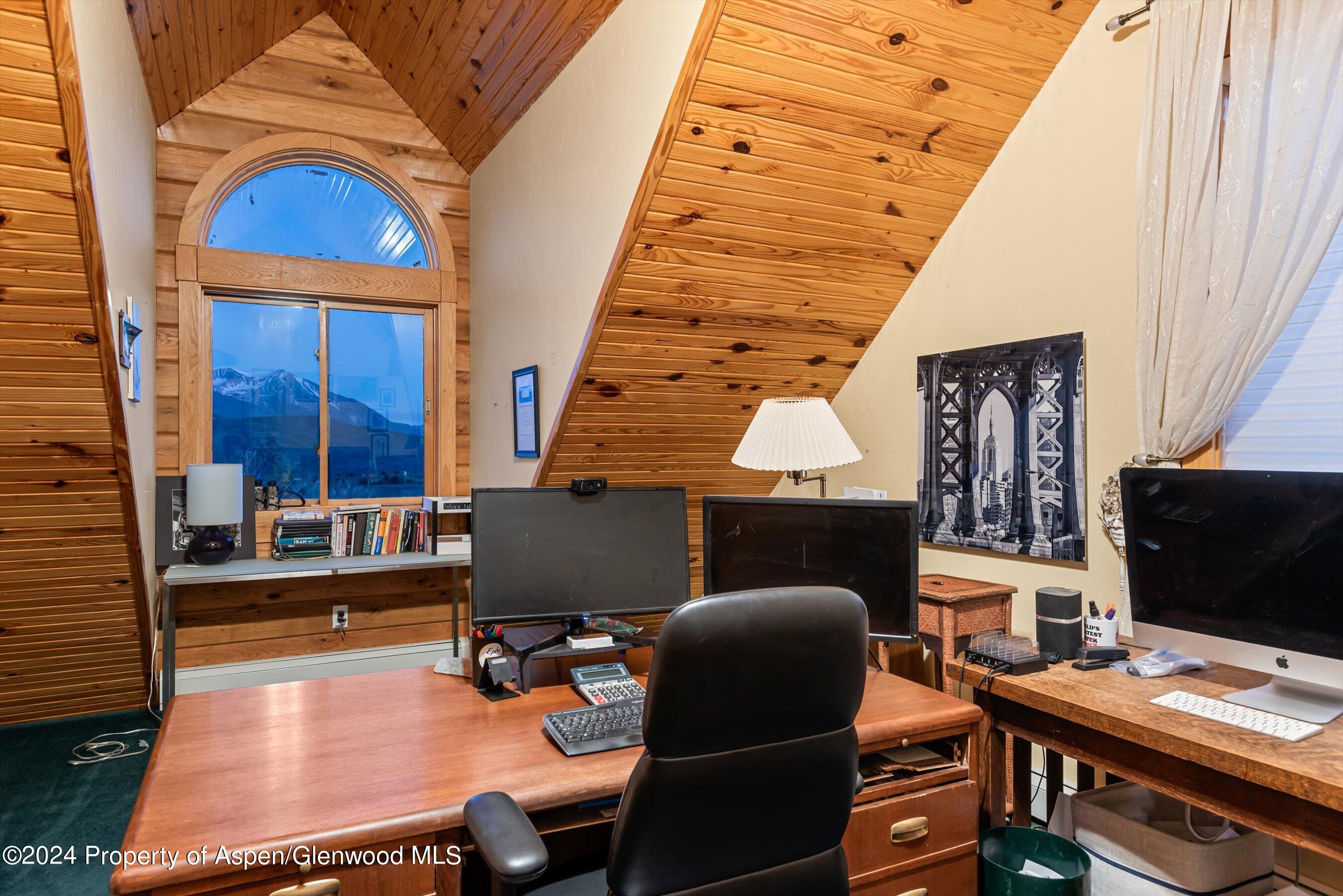 303 Park Meadows Lane Carbondale, CO 81623 - Photo 17 of 47 a living room with furniture a fireplace and a flat screen tv