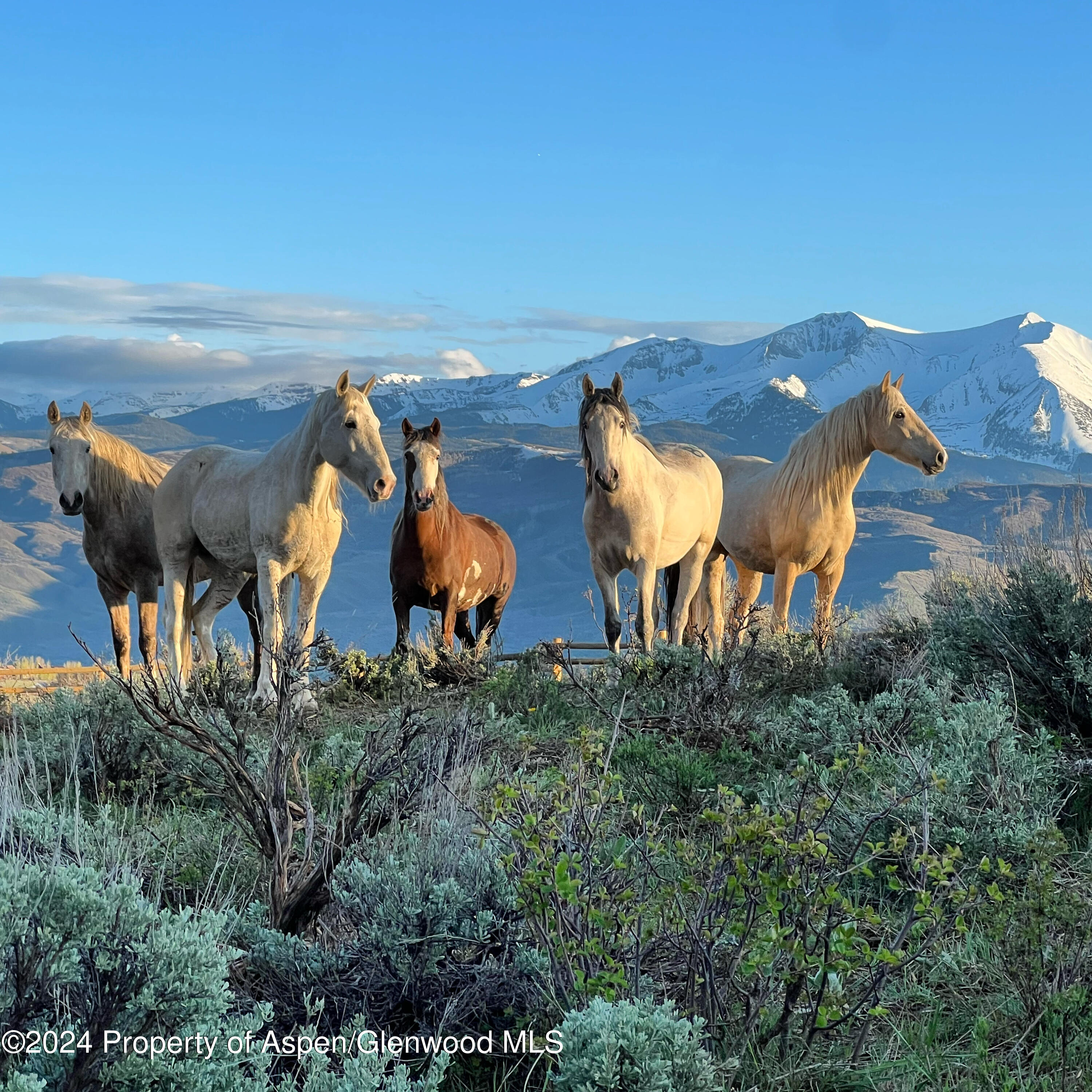 303 Park Meadows Lane Carbondale, CO 81623 - Photo 38 of 47 an aerial view of a house with garden space and sitting space