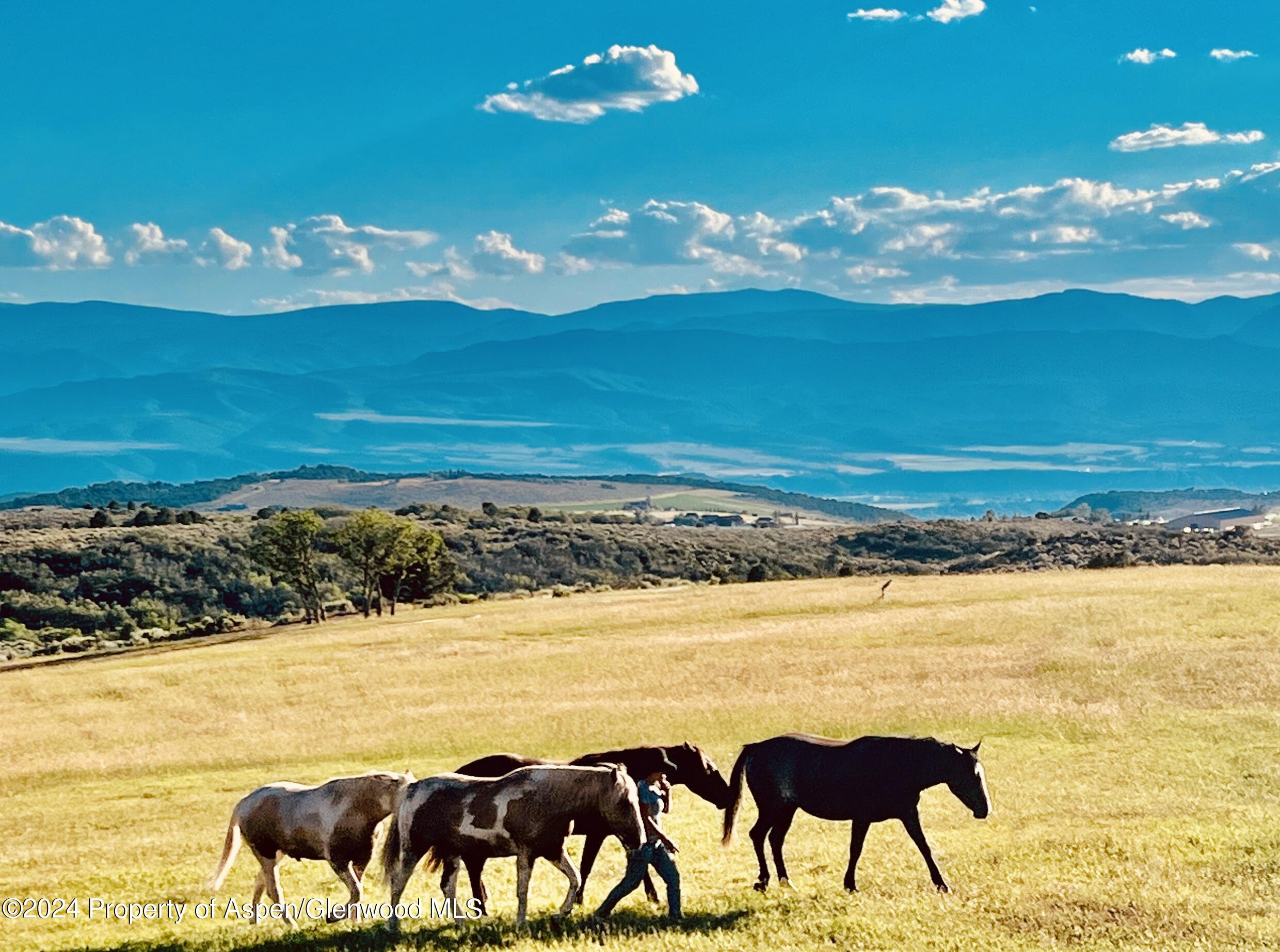 303 Park Meadows Lane Carbondale, CO 81623 - Photo 40 of 47 a view of a pool and an ocean view