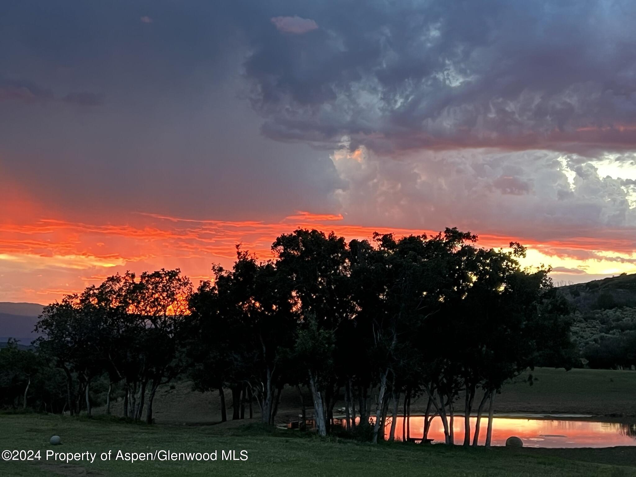 303 Park Meadows Lane Carbondale, CO 81623 - Photo 41 of 47 a view of a big yard