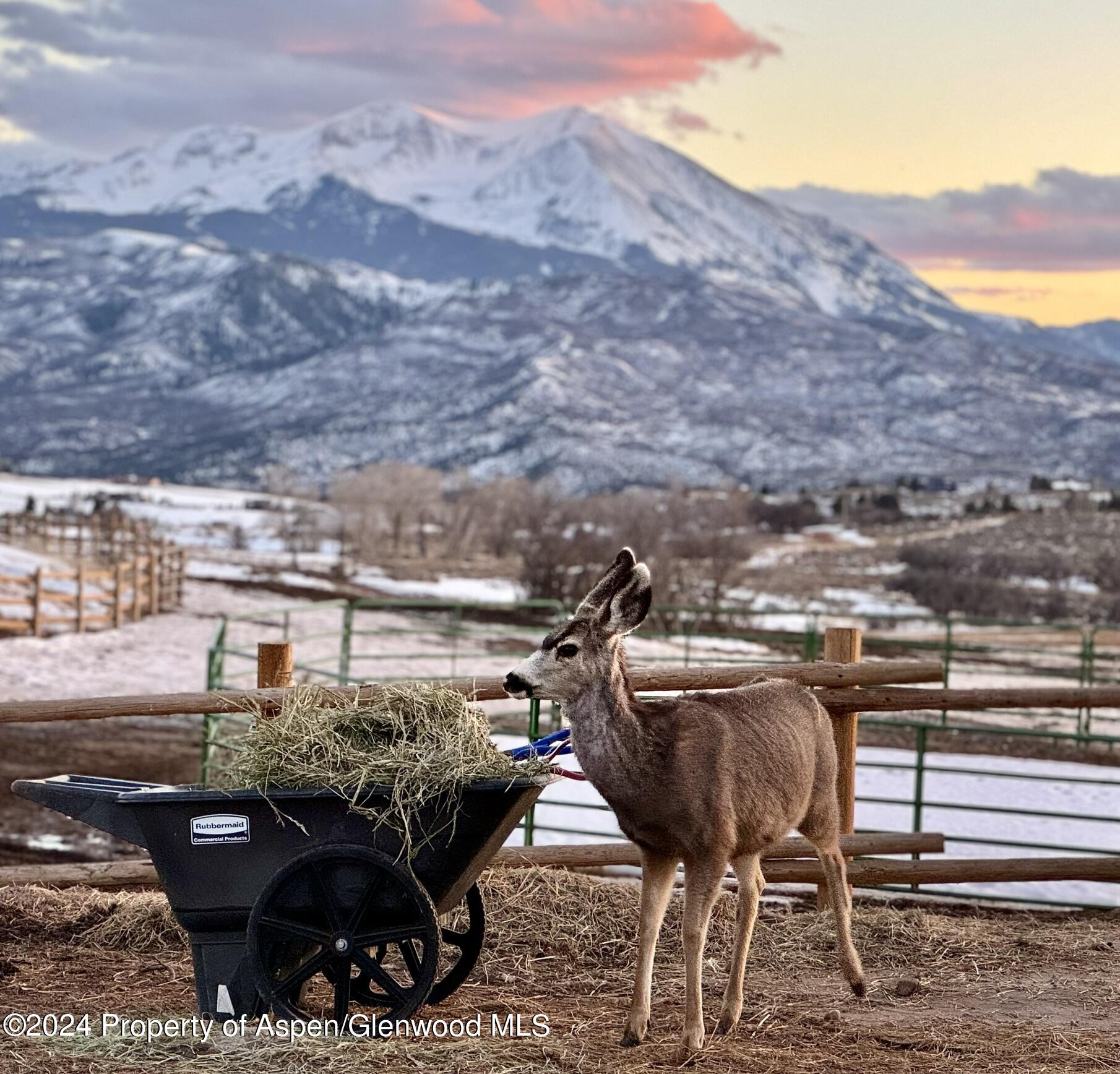 303 Park Meadows Lane Carbondale, CO 81623 - Photo 42 of 47 a terrace with outdoor seating and city view