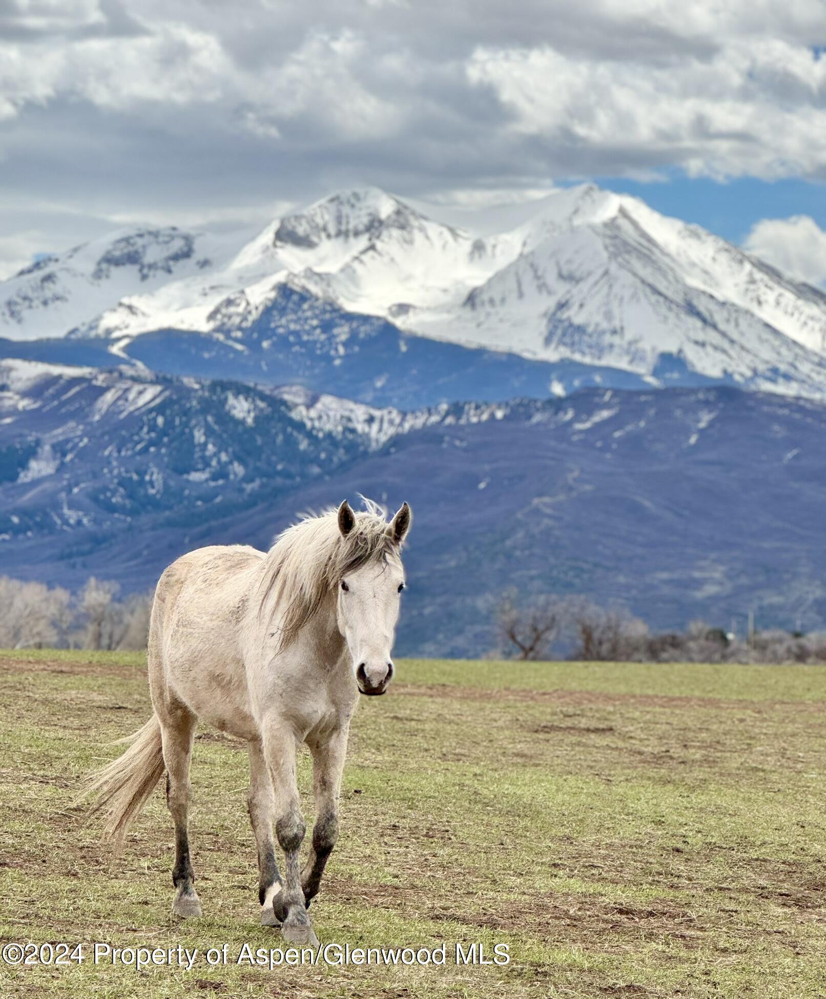 303 Park Meadows Lane Carbondale, CO 81623 - Photo 44 of 47 a view of a backyard with a fireplace