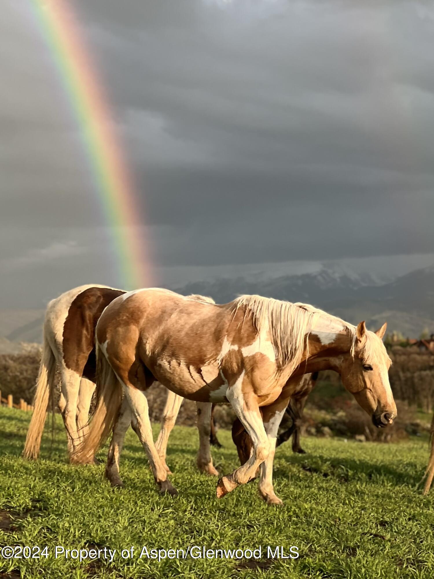 303 Park Meadows Lane Carbondale, CO 81623 - Photo 45 of 47 a view of swimming pool