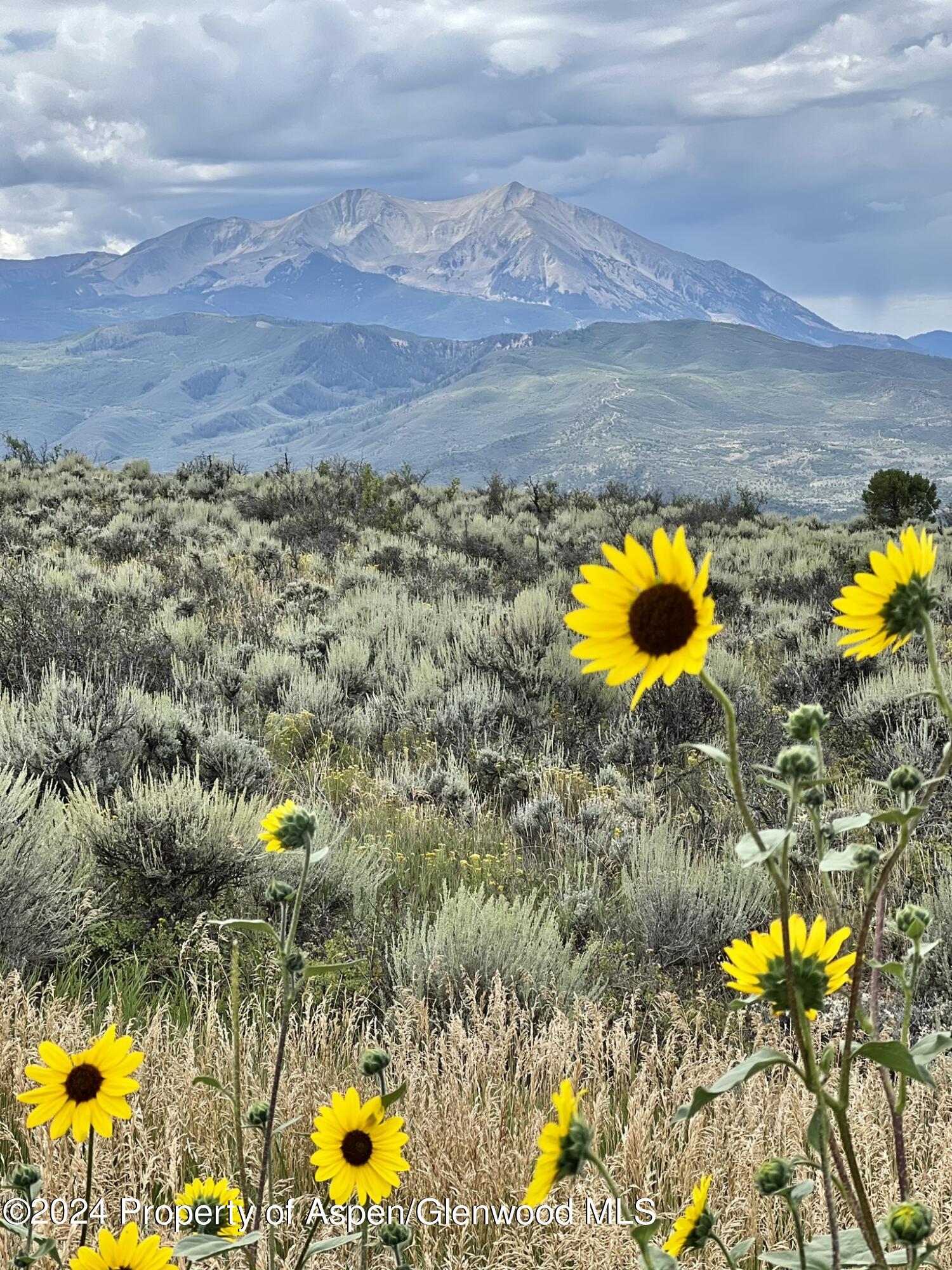 303 Park Meadows Lane Carbondale, CO 81623 - Photo 47 of 47 view of an ocean