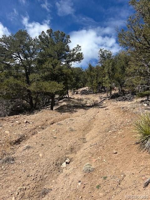 143 Ive Road Cotopaxi, CO 81223 - Photo 1 of 16