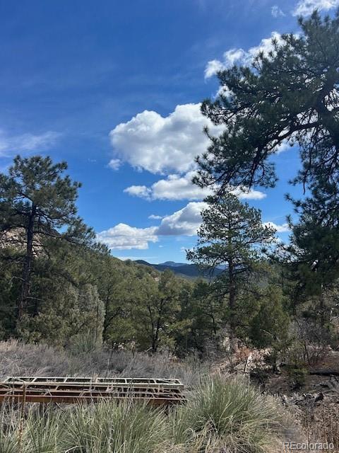 143 Ive Road Cotopaxi, CO 81223 - Photo 12 of 16