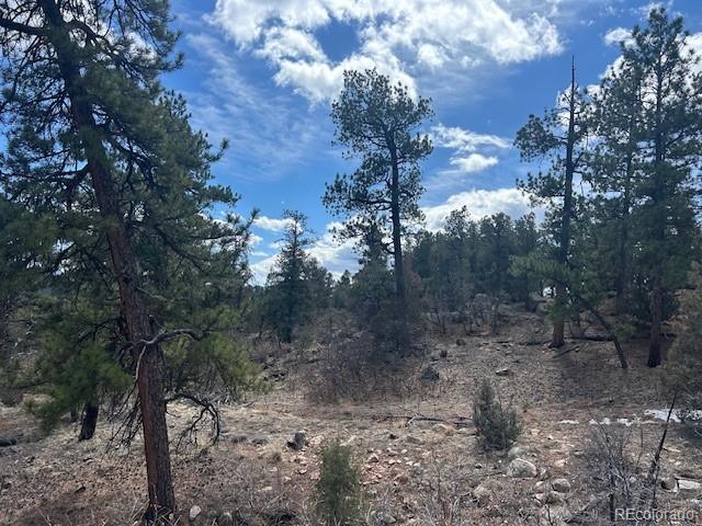 143 Ive Road Cotopaxi, CO 81223 - Photo 13 of 16