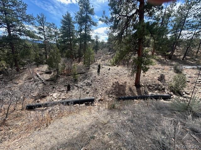 143 Ive Road Cotopaxi, CO 81223 - Photo 14 of 16