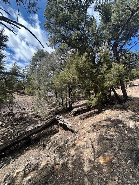 143 Ive Road Cotopaxi, CO 81223 - Photo 15 of 16