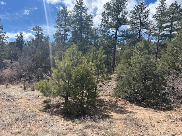 143 Ive Road Cotopaxi, CO 81223 - Photo 2 of 16