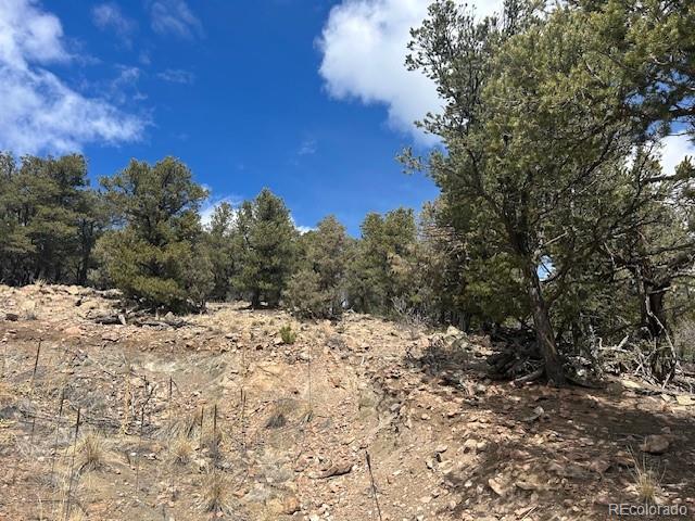 143 Ive Road Cotopaxi, CO 81223 - Photo 3 of 16