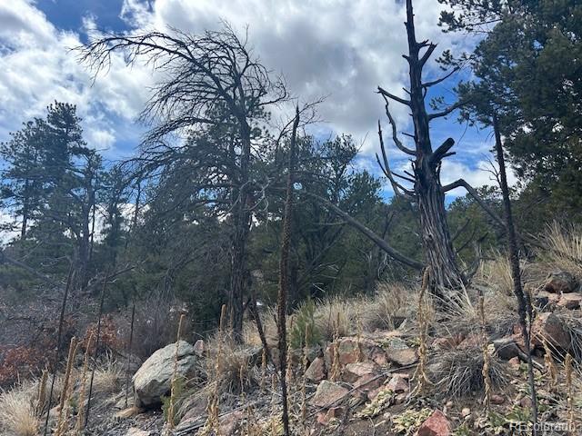 143 Ive Road Cotopaxi, CO 81223 - Photo 4 of 16