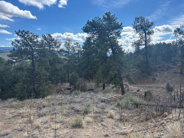 143 Ive Road Cotopaxi, CO 81223 - Photo 5 of 16