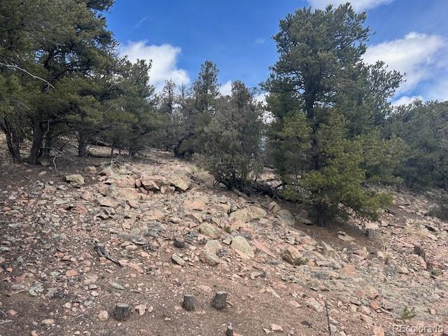 143 Ive Road Cotopaxi, CO 81223 - Photo 6 of 16