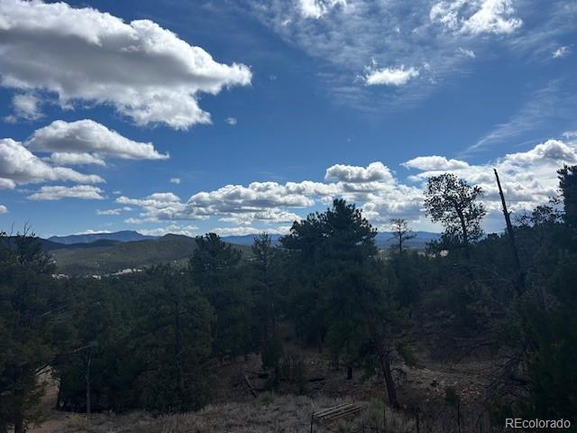 143 Ive Road Cotopaxi, CO 81223 - Photo 7 of 16