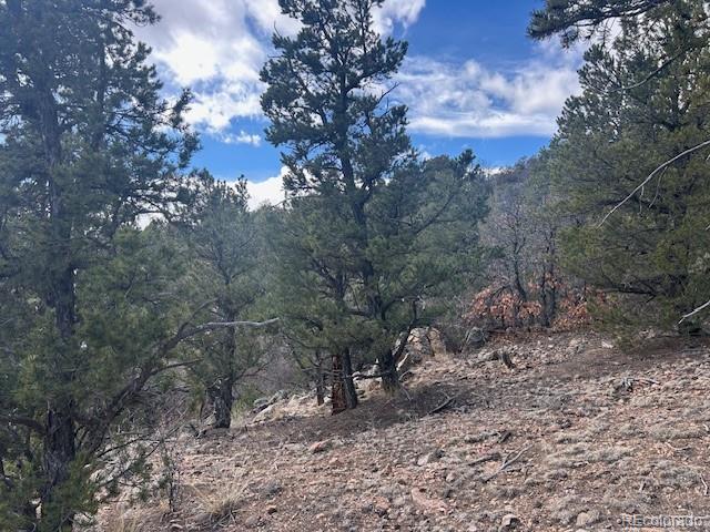 143 Ive Road Cotopaxi, CO 81223 - Photo 8 of 16