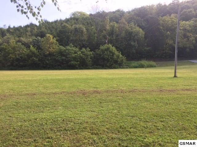 30033005 Knob Creek Road Bybee, TN 37713 - Photo 3 of 23 Gallery Image 3