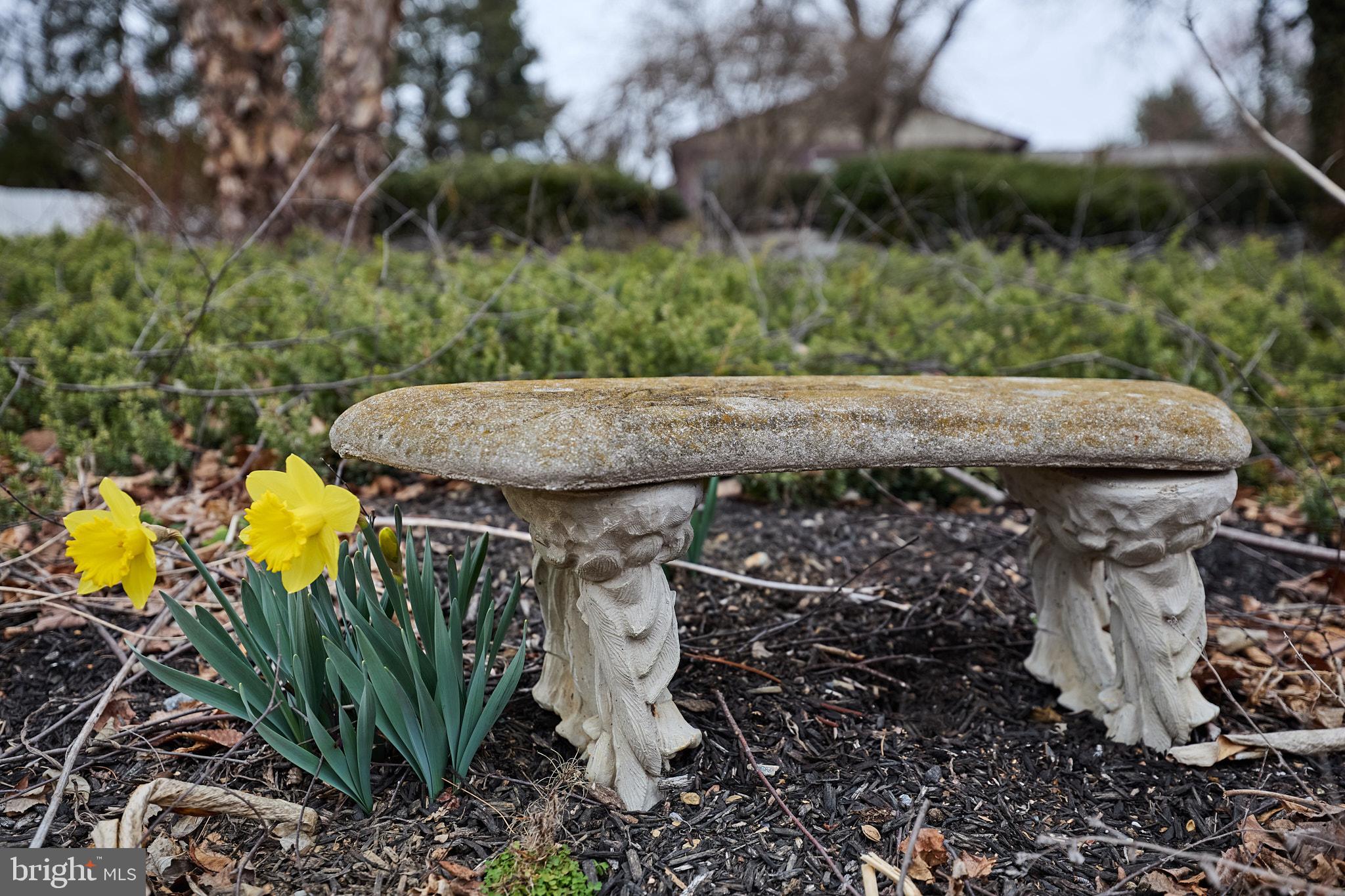 347 Buch Avenue Lancaster, PA 17601 - Photo 48 of 50 a view of a backyard with fountain plants and large trees
