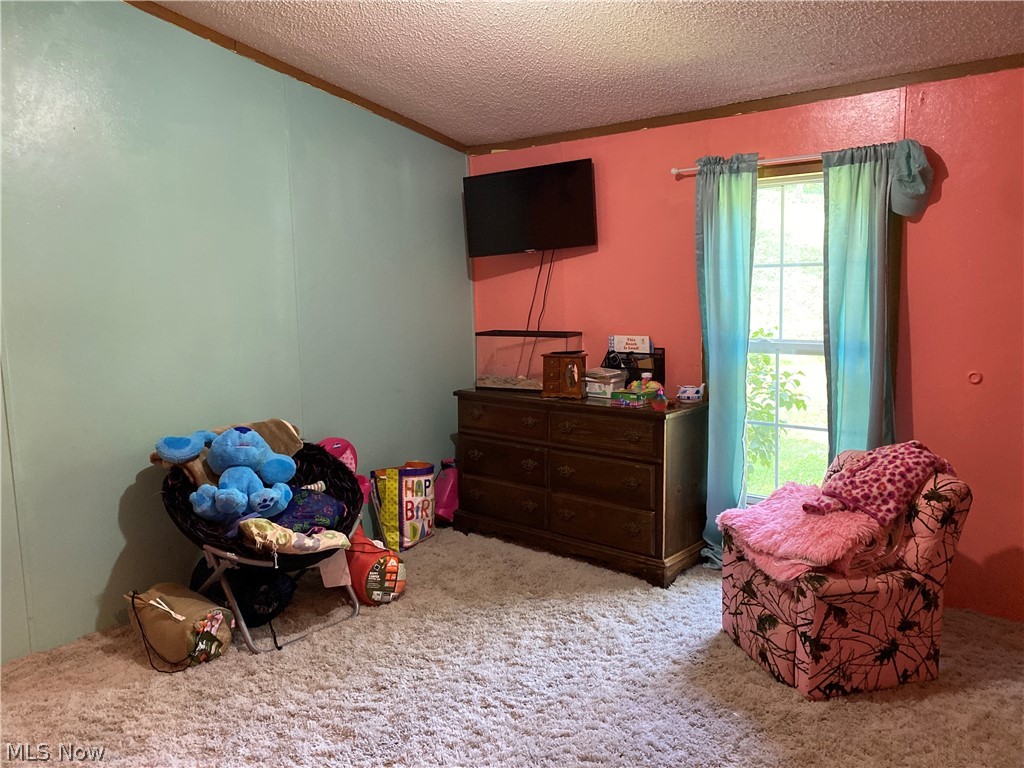 140 Skyles Rd Street St. Marys, WV 26170 - Photo 16 of 20