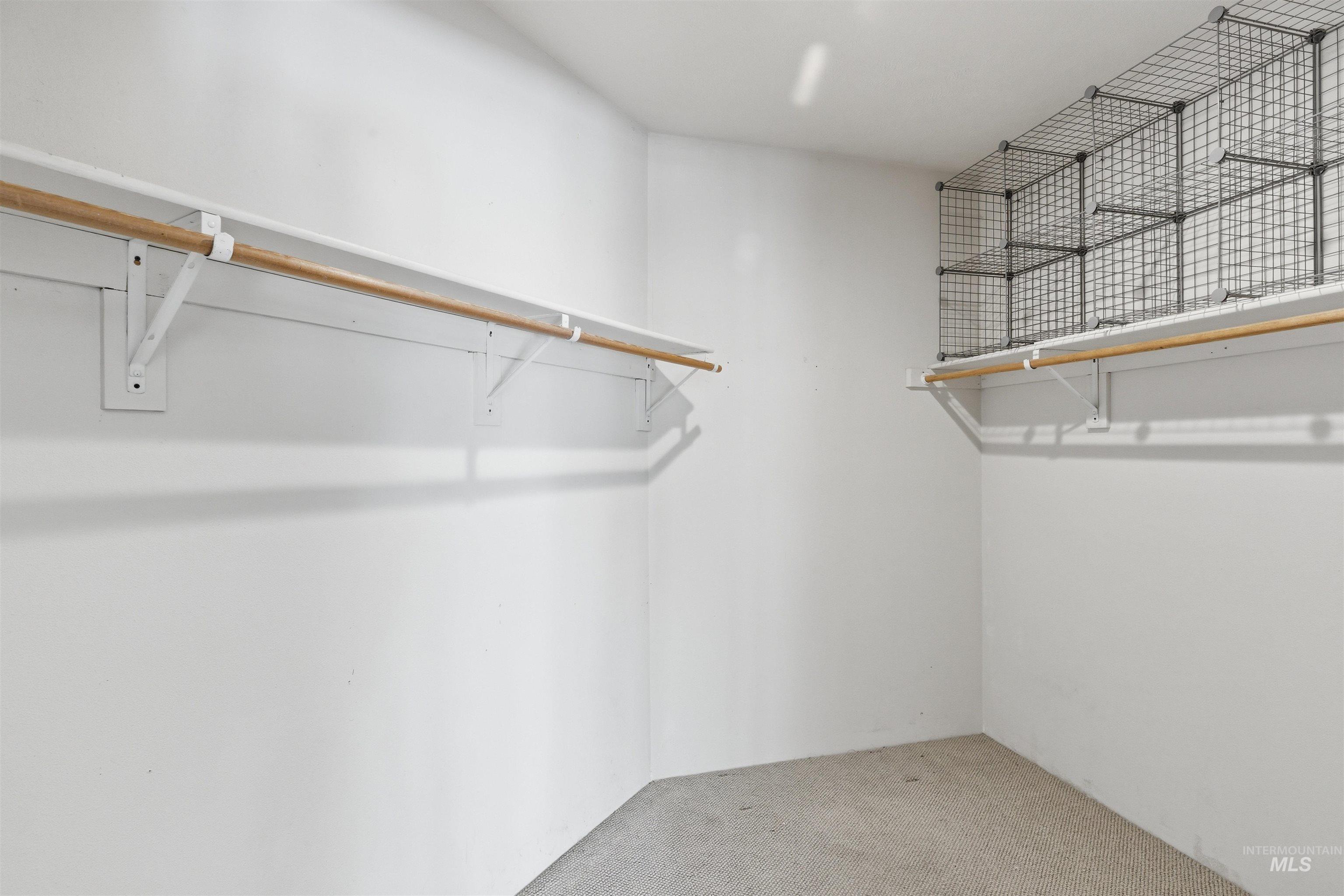 1540 Pine Cone Road Moscow, ID 83843 - Photo 20 of 49 Spacious closet featuring white walls, light gray carpeting, and ample storage solutions