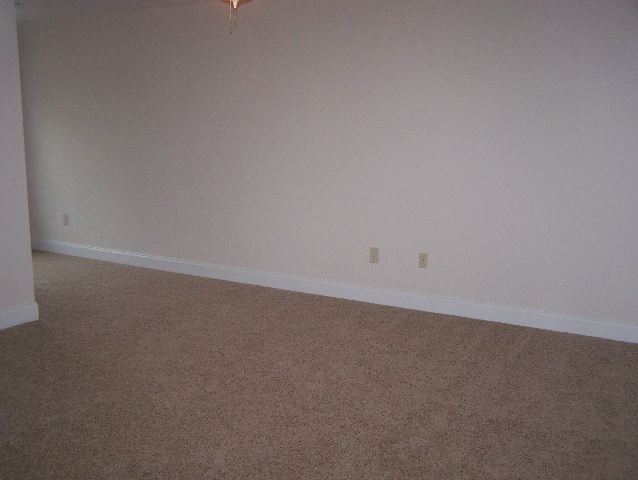 3 Caperton Way Greer, SC 29651 - Photo 6 of 8 Gallery Image 6
