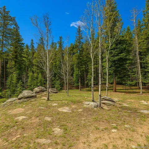 $575,000 | 33606 Gap Road, Golden, CO 80403