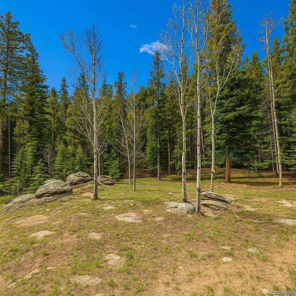 33606 Gap Road Golden, CO 80403 - Photo 26 of 36