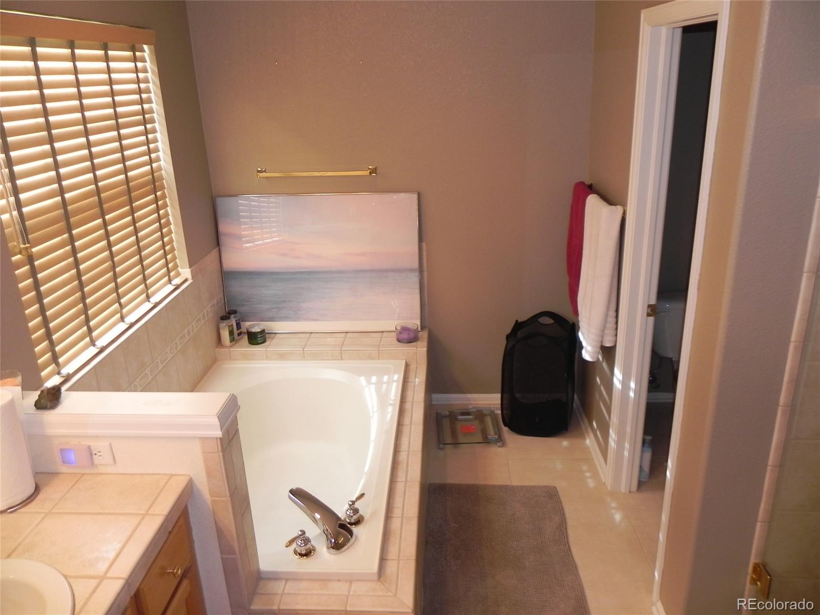 6235 Trailhead Road Highlands Ranch, CO 80130 - Photo 17 of 21
