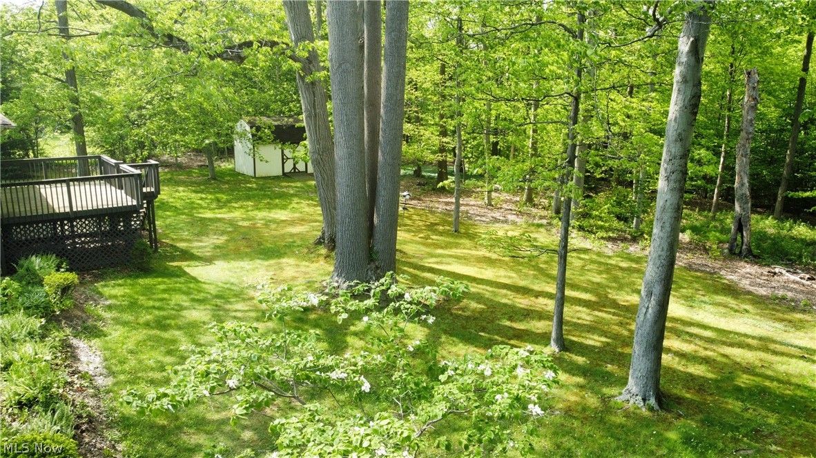 11290 Colburn Road Painesville, OH 44077 - Photo 35 of 42