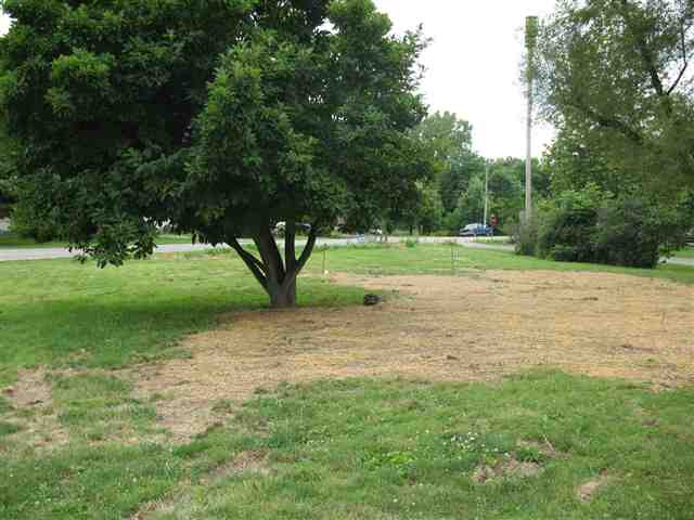 9524 South Robinson Lane Mapleton, IL 61547 - Photo 11 of 12