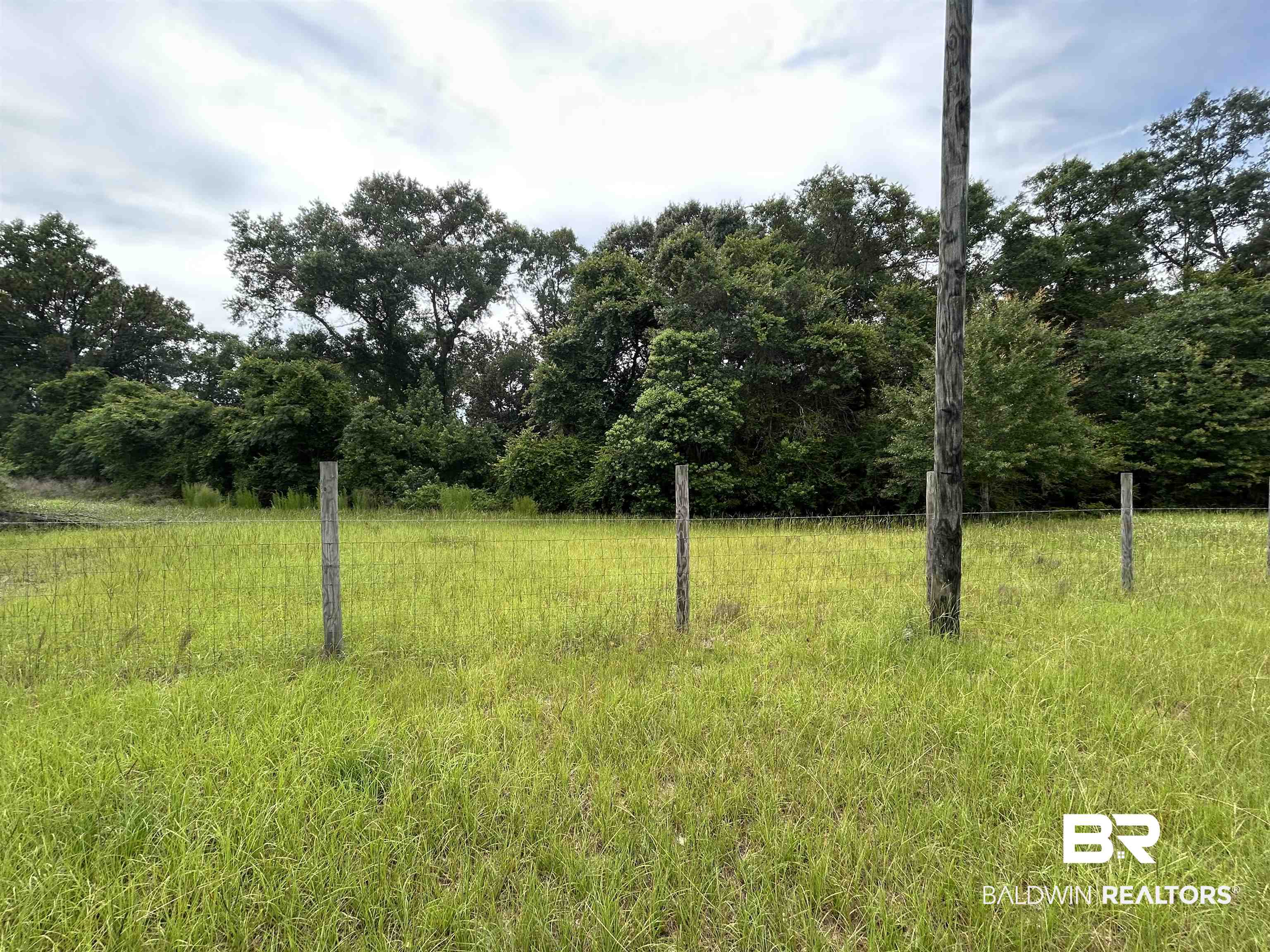 0 Hunters Trail Citronelle, AL 36522 - Photo 5 of 8 View of yard