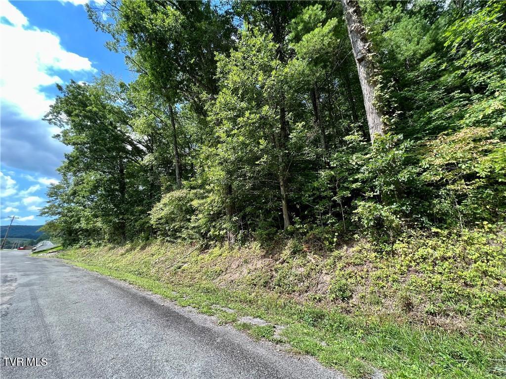 Tbd Rhea Road, Unit 23 Mountain City, TN 37683 - Photo 2 of 9 tn1
