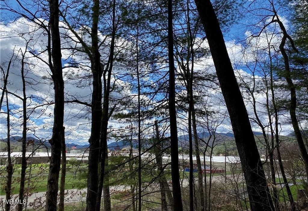 Tbd Rhea Road, Unit 23 Mountain City, TN 37683 - Photo 3 of 9 tn2