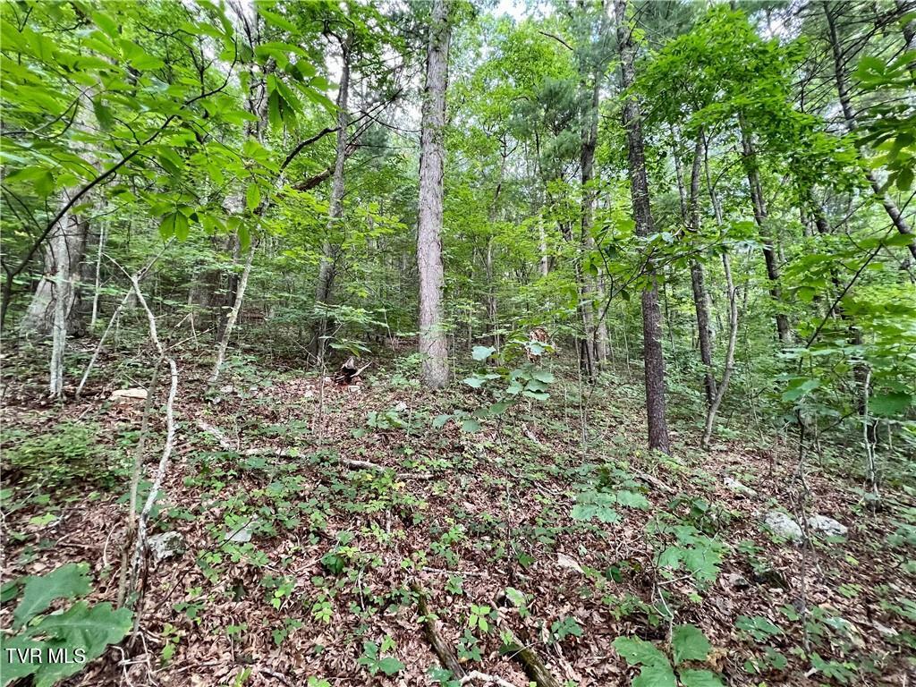 Tbd Rhea Road, Unit 23 Mountain City, TN 37683 - Photo 6 of 9 tn6