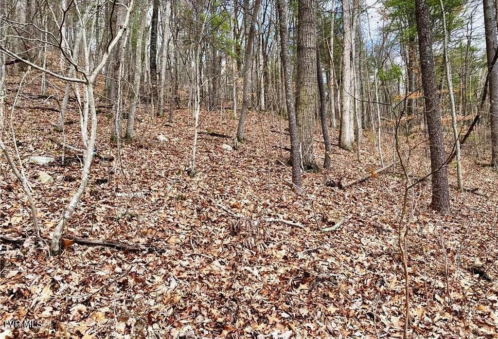 Tbd Rhea Road, Unit 23 Mountain City, TN 37683 - Photo 9 of 9 tn6