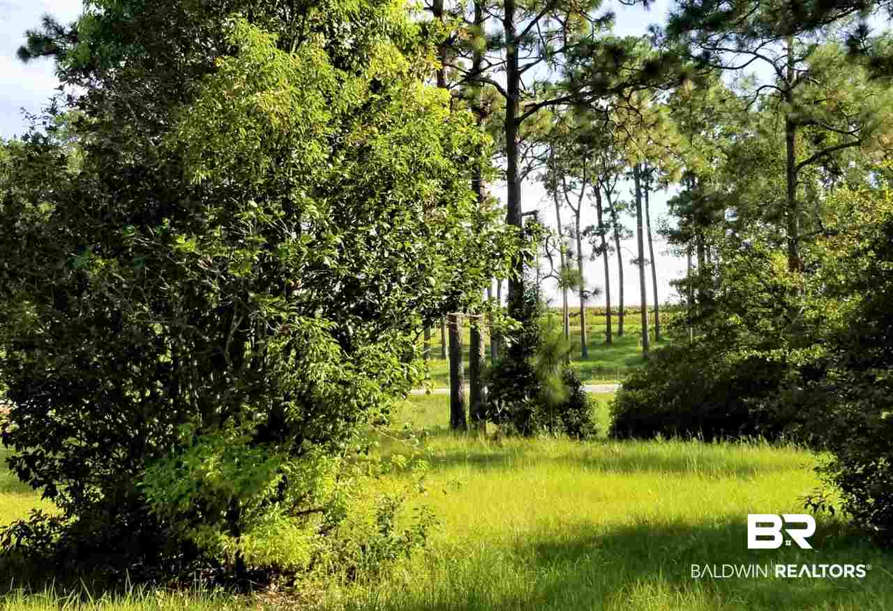 14760 County Road 64 Loxley, AL 36551 - Photo 17 of 19