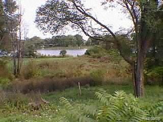 0 Joslyn Road North Lake Orion, MI 48362 - Photo 1 of 1 Listing Image