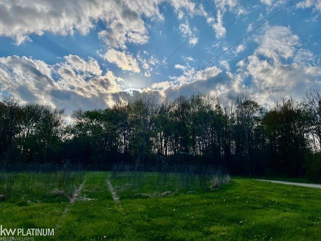 0 Fox Ridge Lane Allenton, MI 48002 - Photo 8 of 17