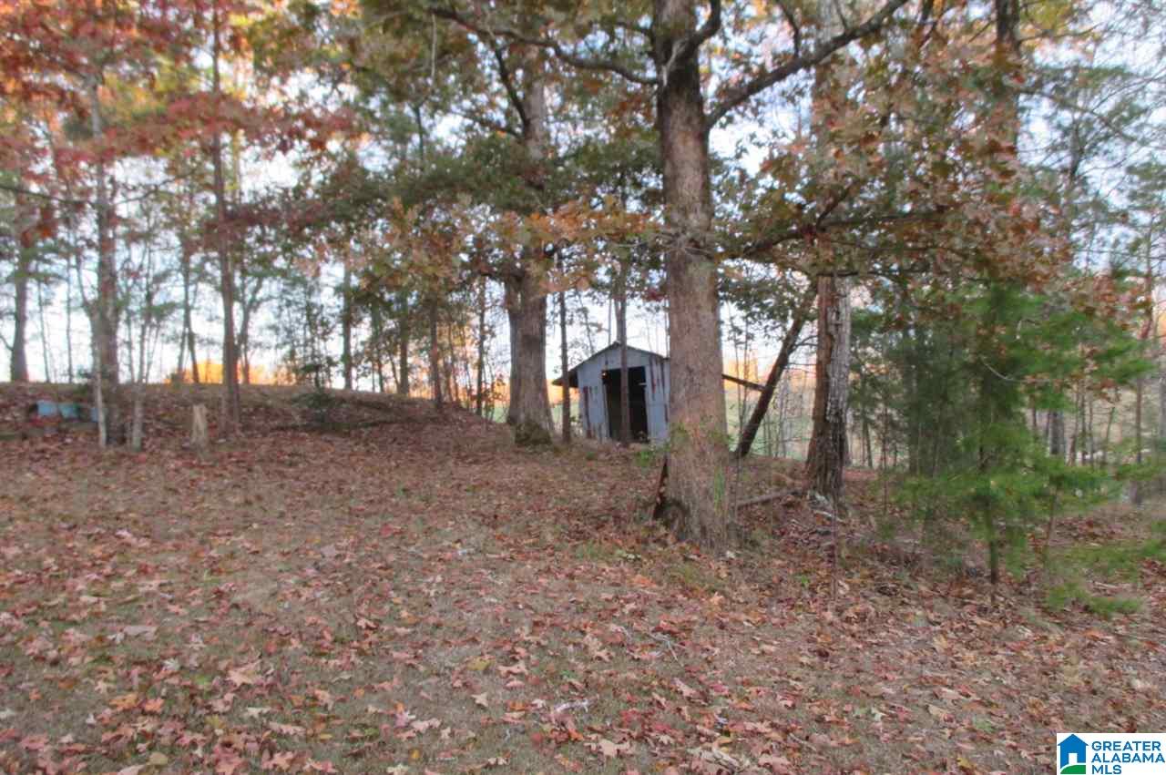 1055 Sullivan Lane Springville, AL 35146 - Photo 4 of 13