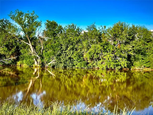 a view of a lake in middle of a forest