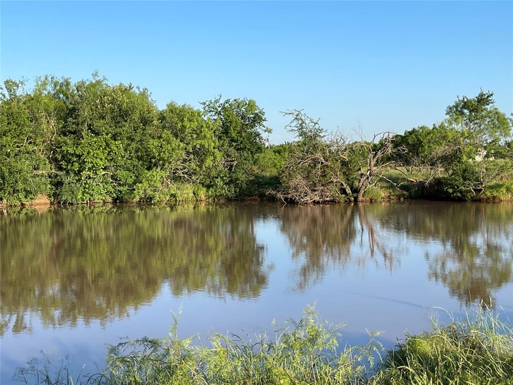 Tbd Brumbelow Road Weatherford, TX 76088 - Photo 3 of 17 a body of water with a tree in the background