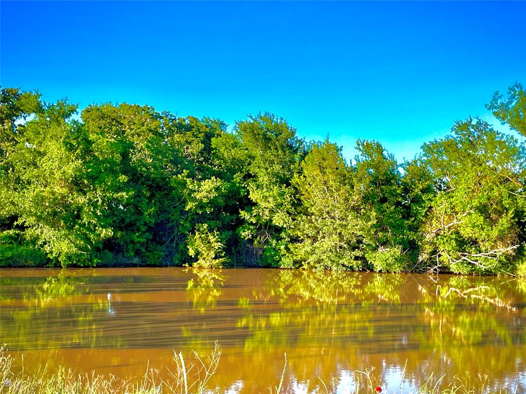 Tbd Brumbelow Road Weatherford, TX 76088 - Photo 5 of 17 a view of swimming pool from a yard
