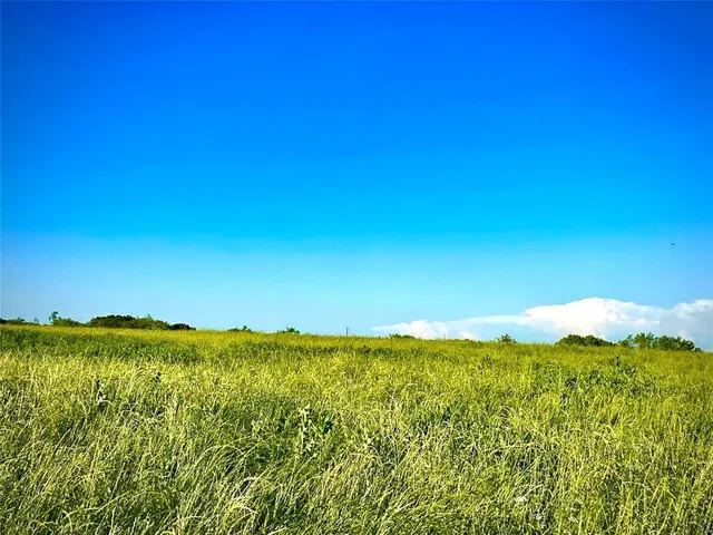a view of lake and green space