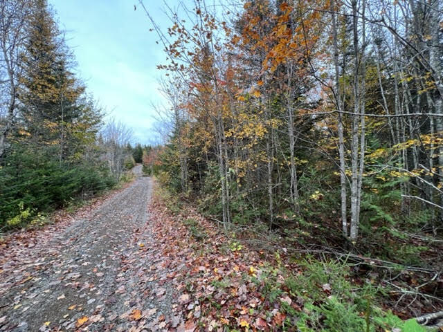 Lot 27-27 Lively Brook Road Lubec, ME 04652 - Photo 5 of 11 unnamed-2