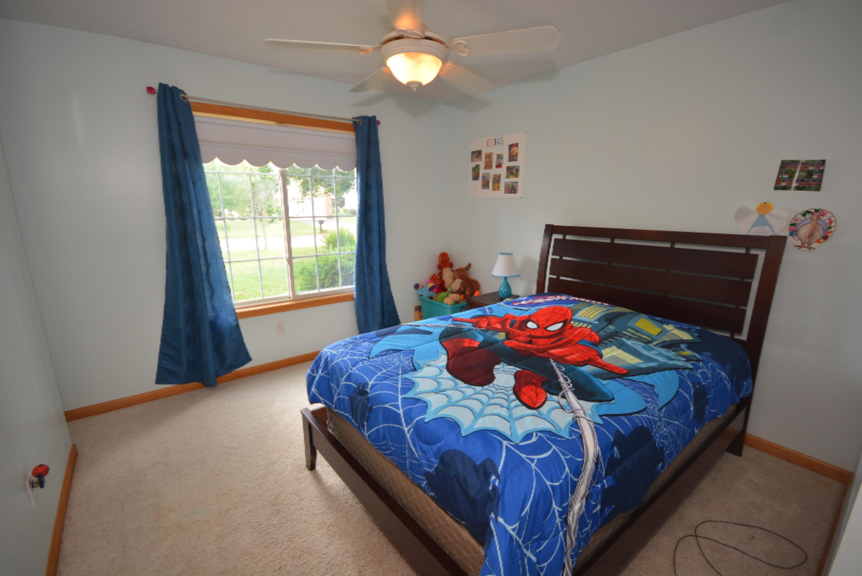 2596 Chestnut Ridge Avenue Portage, MI 49024 - Photo 31 of 52 DSC_0532