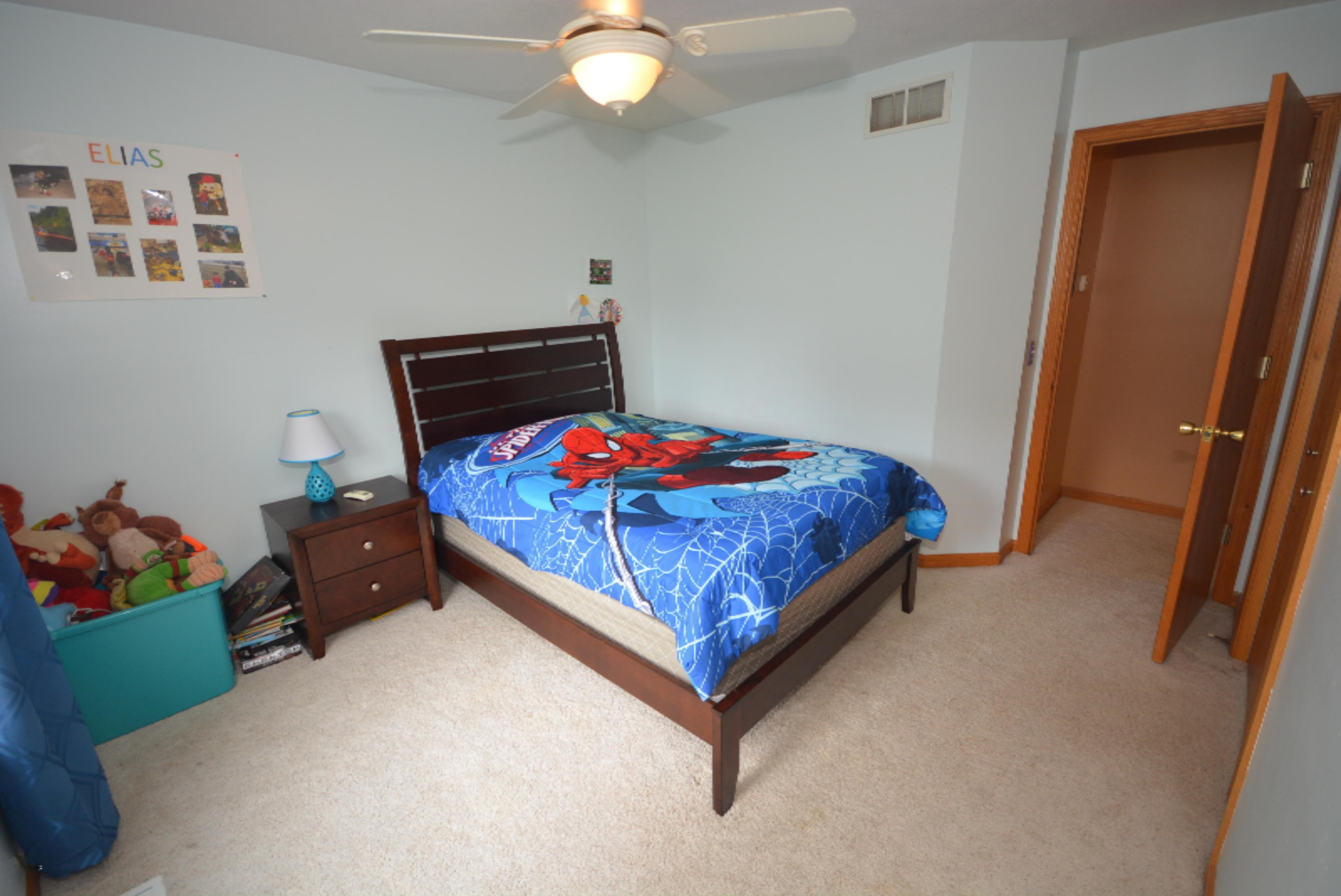 2596 Chestnut Ridge Avenue Portage, MI 49024 - Photo 32 of 52 DSC_0533