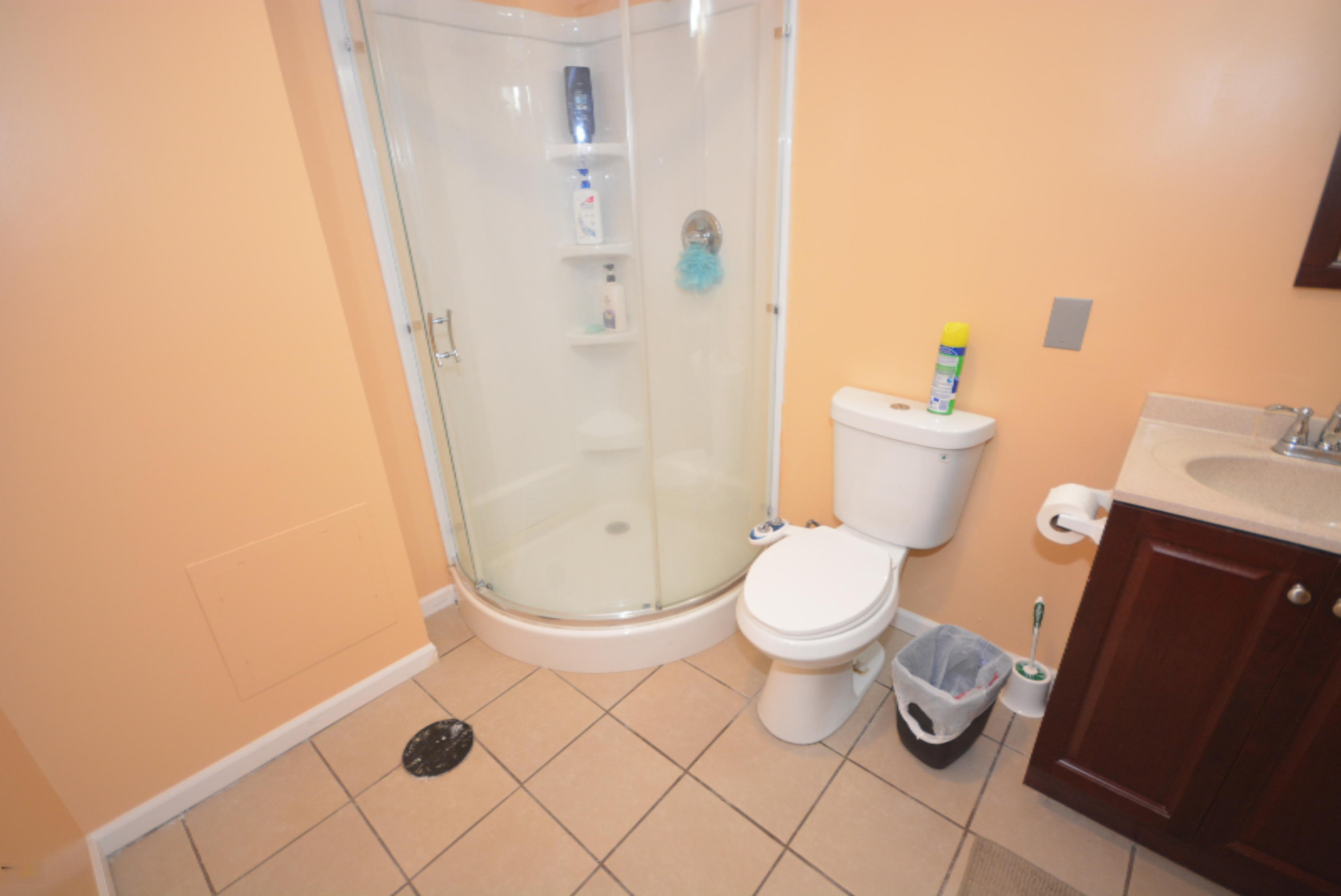 2596 Chestnut Ridge Avenue Portage, MI 49024 - Photo 45 of 52 DSC_0550