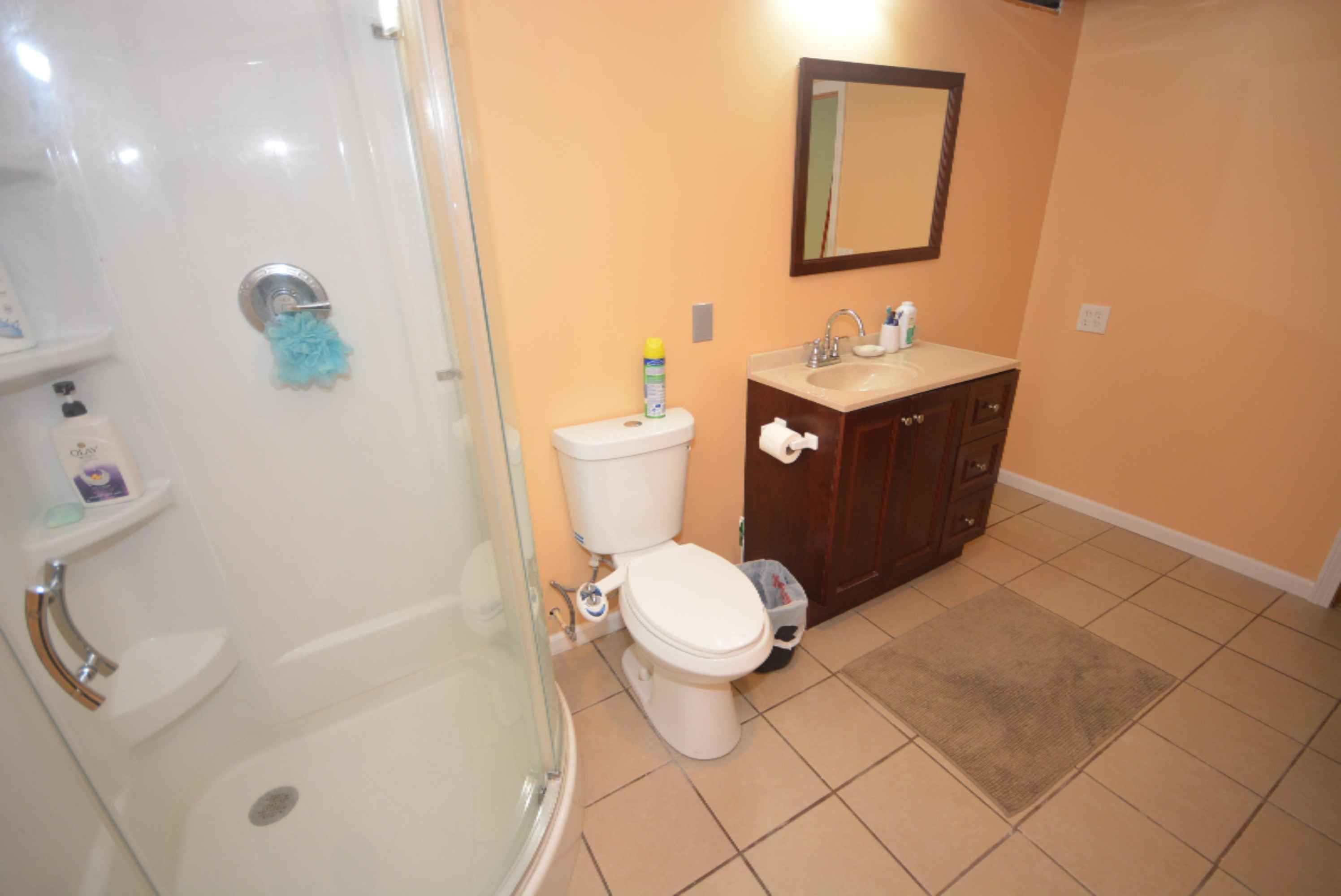 2596 Chestnut Ridge Avenue Portage, MI 49024 - Photo 46 of 52 DSC_0551