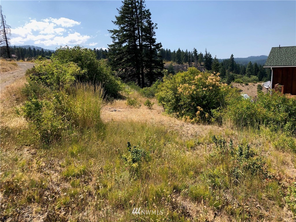 1771 Twin Lakes Road Cle Elum, WA 98922 - Photo 2 of 4 Gallery Image 2